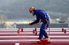 䓽Y����ϩ��۰������� (�p�M��)