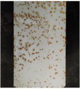 Ϳ���÷��W�P���Ĺ���ԭ����ʹ�÷�����